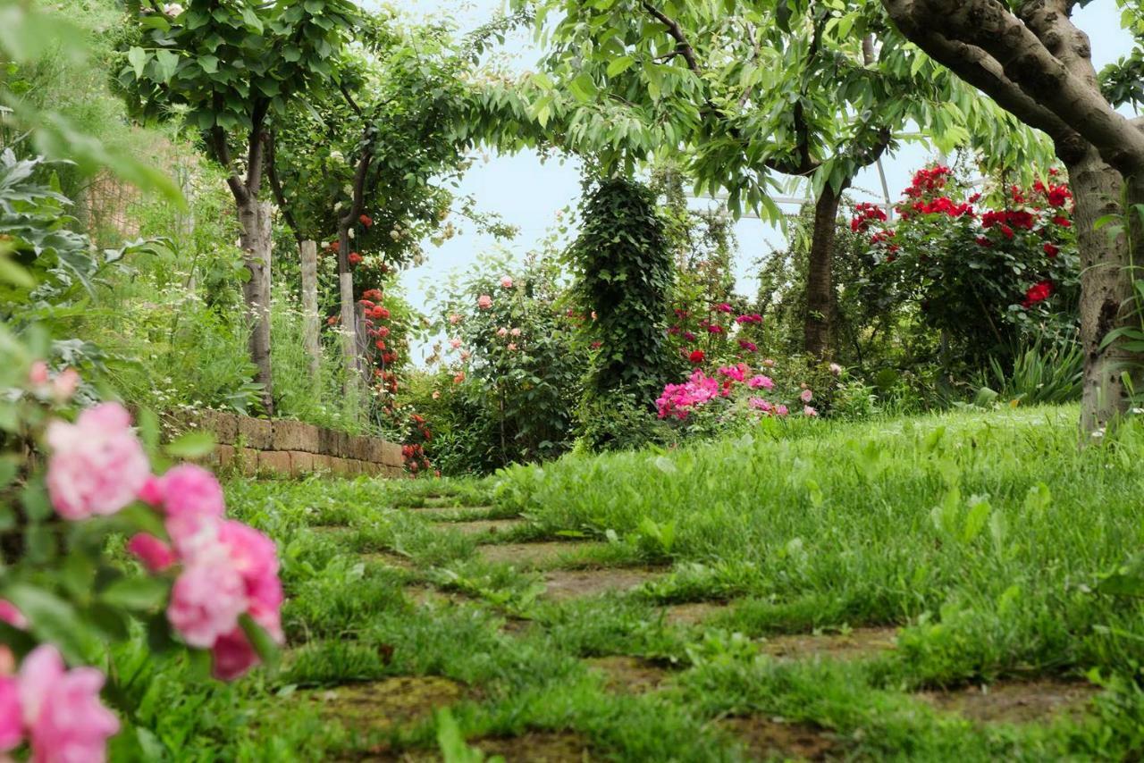 Carossi B&B Castagnole delle Lanze Buitenkant foto